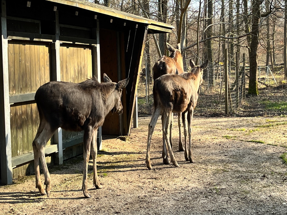 23-02-13 14-28-32 4225